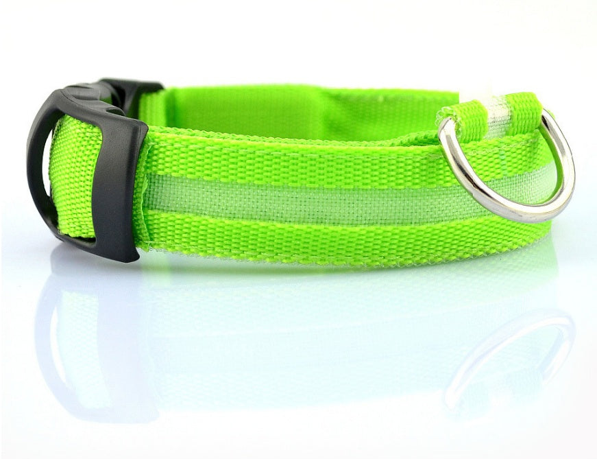 LED Safety Glow Dog Collar – USB Rechargeable Night Visibility Collar