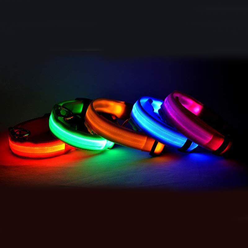 LED Safety Glow Dog Collar – USB Rechargeable Night Visibility Collar