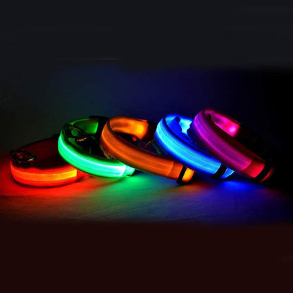 LED Safety Glow Dog Collar – USB Rechargeable Night Visibility Collar