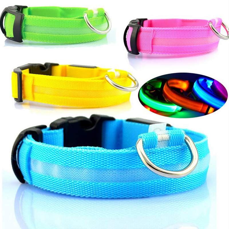 LED Safety Glow Dog Collar – USB Rechargeable Night Visibility Collar