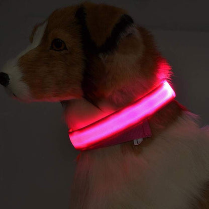 LED Safety Glow Dog Collar – USB Rechargeable Night Visibility Collar