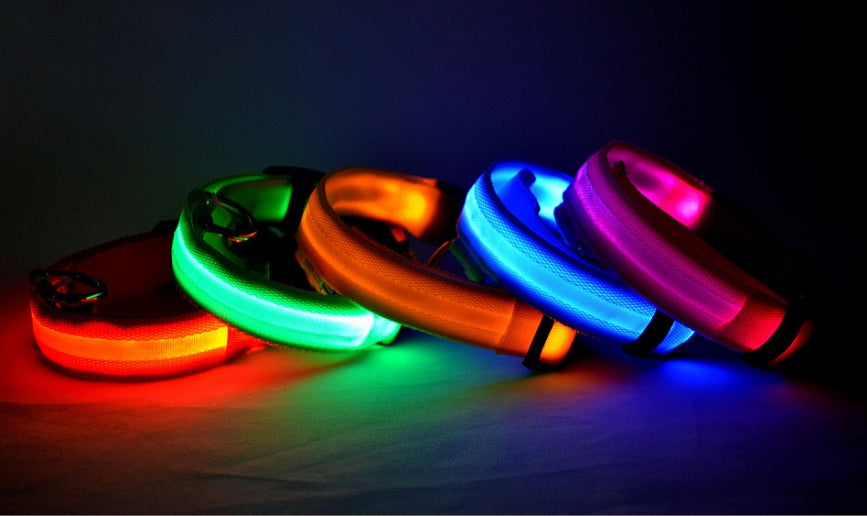 LED Safety Glow Dog Collar – USB Rechargeable Night Visibility Collar