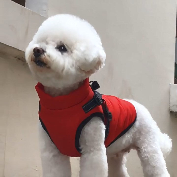 Waterproof Winter Dog Jacket with Built-In Harness – Warm & Adjustable