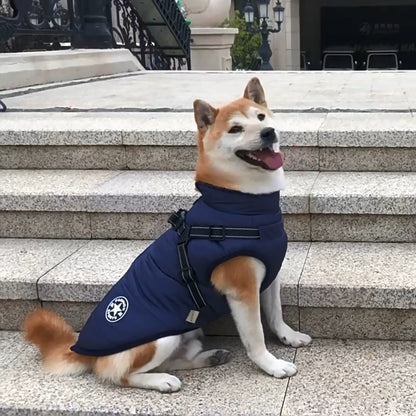 Waterproof Winter Dog Jacket with Built-In Harness – Warm & Adjustable